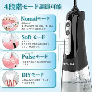 PECHAM ジェットウォッシャー 強力 【あ...の詳細画像4