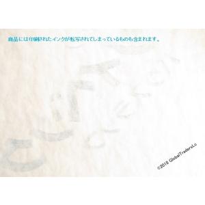 デュポン(TM) タイベック(R) ハウスラッ...の詳細画像3