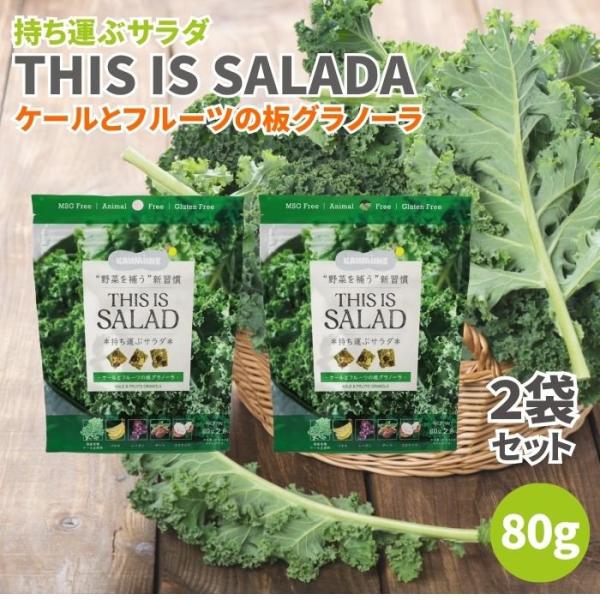 持ち運ぶサラダ THIS IS SALADA ケールとフルーツの板グラノーラ 80g 2袋セット グ...