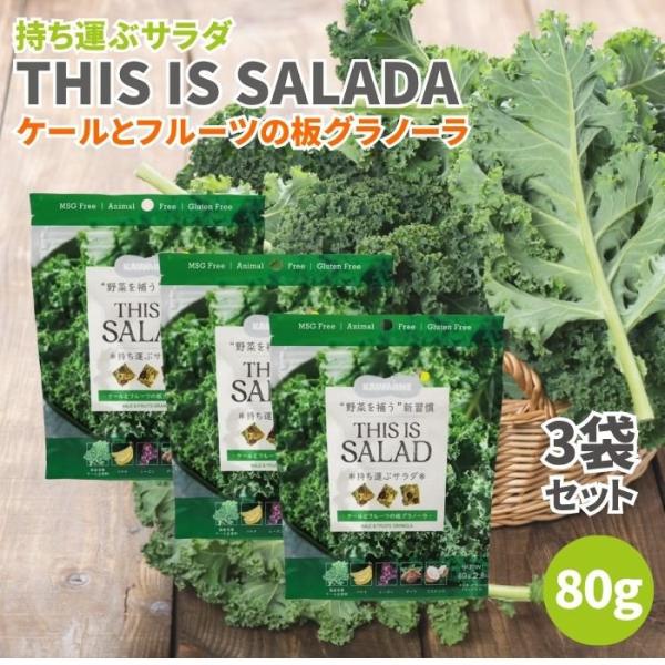 持ち運ぶサラダ THIS IS SALADA ケールとフルーツの板グラノーラ 80g 3袋セット グ...