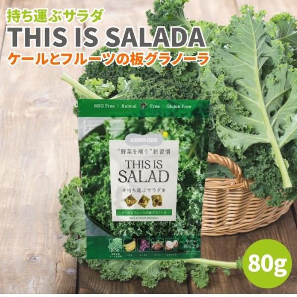 持ち運ぶサラダ THIS IS SALADA ケールとフルーツの板グラノーラ 80g グラノーラ ケ...