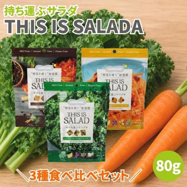 ＼3種食べ比べセット／ 持ち運ぶサラダ THIS IS SALADA ケールとフルーツの板グラノーラ...