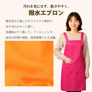 エプロン H型 撥水 速乾 軽量 おしゃれ 無...の詳細画像2