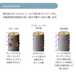 資生堂 サブリミック ワンダーシールド 110...の詳細画像3