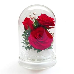 ガラスドーム 花 ドライフラワー ボトルフラワー...の商品画像