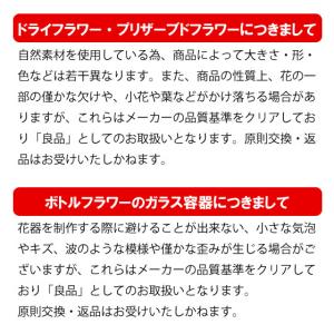 ガラスドーム 花 ドライフラワー ボトルフラワ...の詳細画像5