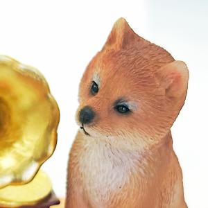 オルゴール 柴犬 プレゼント 犬 シバ かわい...の詳細画像3