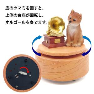 オルゴール 柴犬 プレゼント 犬 シバ かわい...の詳細画像4