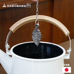 池永鉄工 南部鉄 鉄リーフ 鉄玉 南部鉄器 日本製 鉄分補給 鉄 貧血予防 健康 白湯 お茶 漬物 煮豆 妊婦