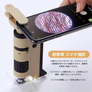 レイメイ藤井 ハンディ顕微鏡 DX RXT11...の詳細画像2
