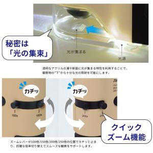 レイメイ藤井 ハンディ顕微鏡 DX RXT11...の詳細画像4