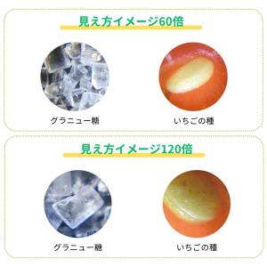 レイメイ藤井 ハンディ顕微鏡 ZOOM RXT...の詳細画像4