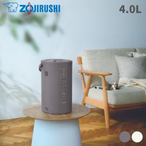 象印 加湿器 スチーム式 4.0L 8畳~13畳 タイマー お手入れ簡単 EE-DD50 ラッピング不可