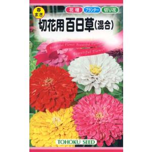 切り花用 種 花の種 の商品一覧 種 種子 花 ガーデニング 通販 Yahoo ショッピング