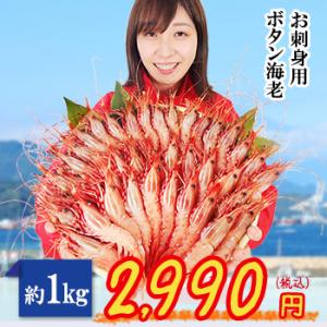 海老の王様 刺身用ボタン海老 約１kg（約30〜40尾）