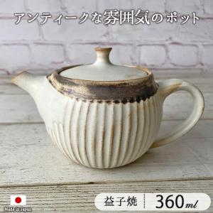 ティーポット おしゃれ 陶器 日本製 茶こし付 アンティーク スリムライン ポット 360ml 1〜2人用 益子焼 わかさま陶芸 しのぎ 日本製 急須 お茶 紅茶 2人用の商品画像