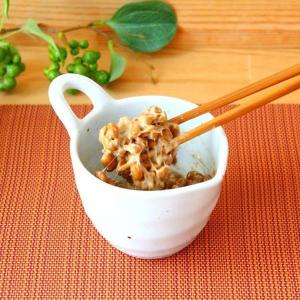 美濃焼納豆鉢 納豆用 器 陶器 食器 白 小鉢 片口 ドレッシング タレ ポット 持ち手 和食器