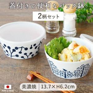 西海陶器 波佐見焼 花ふわり キャニスター 保存容器 レンジパック