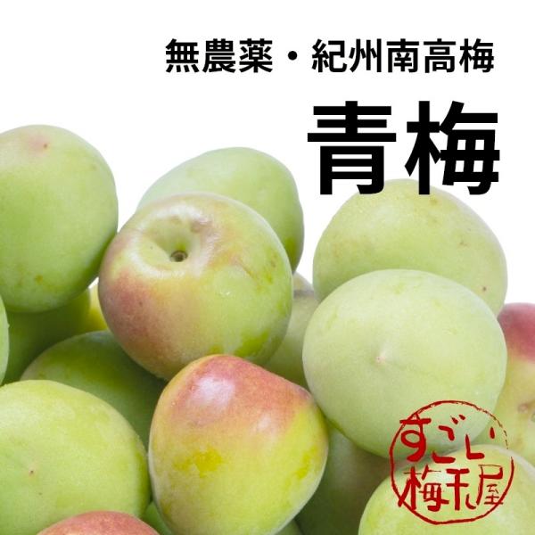 青梅 南高梅 3kg 無農薬 熊野 生梅 紀州産 無化学肥料 梅干し 梅干し用 梅酒用 梅ジュース用...