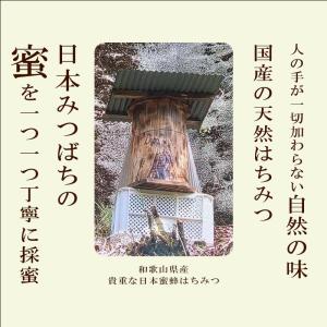 はちみつ 国産 奥熊野山蜜 600g 日本ミツ...の詳細画像2
