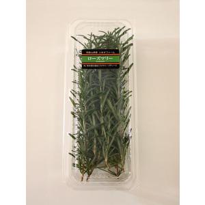 ローズマリー 10ｇ〜15ｇ フレッシュハーブ 食用 