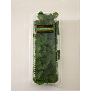 スペアミント 10ｇ〜15ｇ フレッシュハーブ 食用 