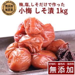 梅干し 無添加 無農薬 しそ漬 1kg 小梅 減塩 紫蘇 国産 ギフト 甘味料 着色料 無添加 栽培期間中農薬不使用 彩り屋｜irodoriya