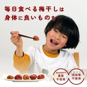 梅干し 無添加 無農薬 しそ漬 1kg ヒマラ...の詳細画像1