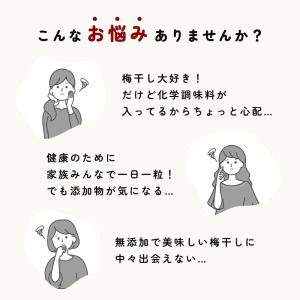 梅干し 無添加 無農薬 しそ漬 1kg ヒマラ...の詳細画像2