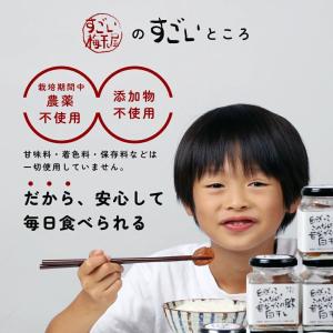 梅干し 無添加 無農薬 しそ漬 1kg ヒマラ...の詳細画像3