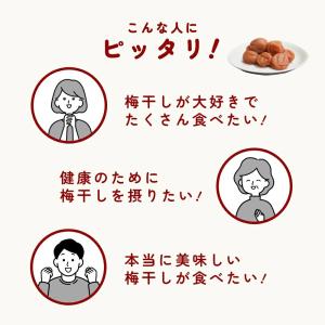 梅干し 無添加 無農薬 しそ漬 1kg ヒマラ...の詳細画像4