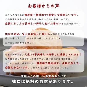 梅干し 無添加 無農薬 しそ漬 1kg ヒマラ...の詳細画像5