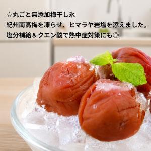 梅干し 無添加 無農薬 はちみつ漬 2kg 南...の詳細画像4