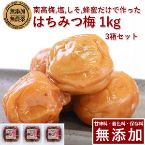 【10%ポイントUP】梅干し 無添加 無農薬 山みつ漬 3kg 南高梅 減塩 はちみつ 国産 ギフト 保存料無添加 甘味料無添加 栽培期間中農薬不使用 彩り屋｜irodoriya