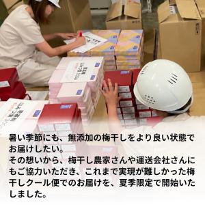 梅干し 無添加 無農薬 はちみつ漬 500g ...の詳細画像3