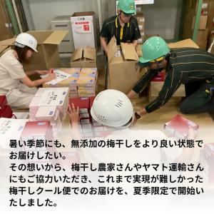 梅干し 無添加 無農薬 訳あり はちみつ漬 3...の詳細画像3
