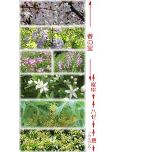 国産純粋はちみつ 百花蜜 1000g はちみつ...の詳細画像2