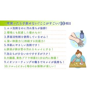 ヒナモロコ 液体洗剤 Wウォッシュ 1000m...の詳細画像2