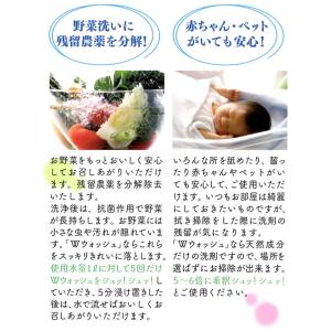 ヒナモロコ 液体洗剤 Wウォッシュ 1000m...の詳細画像3