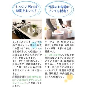 ヒナモロコ 液体洗剤 Wウォッシュ 1000m...の詳細画像4