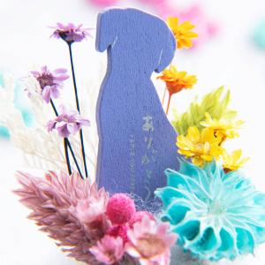 ペット お悔やみ花 贈り物 虹のしずく 送料無...の詳細画像1