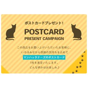 【返品交換無料】マンハッタナーズ アベニュー ...の詳細画像5