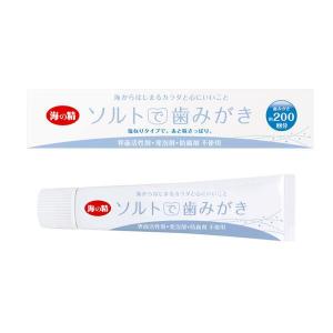 ★6個までなら全国一律送料300円(税込)★ ソルトで歯みがき（ねりタイプ） 60g 海の精