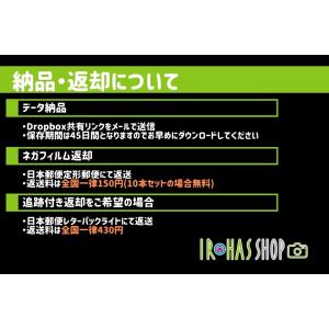 【135】フィルム現像+データ化(約2400万...の詳細画像4
