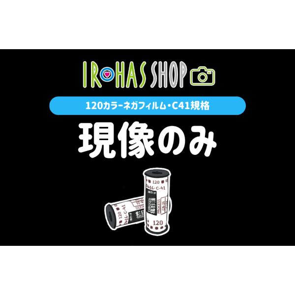 【120】フィルム現像のみ 35mmカラーネガフィルム C41処理