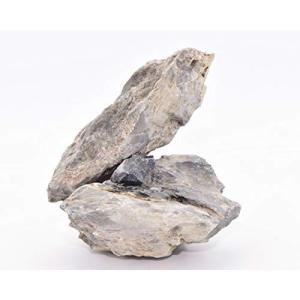 アクアリウム用 液状接着剤 20グラム (x 1)の詳細画像3