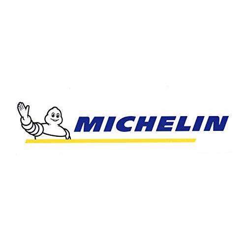 MICHELIN 大 抜き文字 純正(タイヤ) [ 東洋マーク製作所(Toyo Mark) R-10...