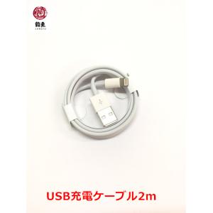 Apple USB-C 充電 ケーブル 2m アップル 純正 MacBook USB-C電源