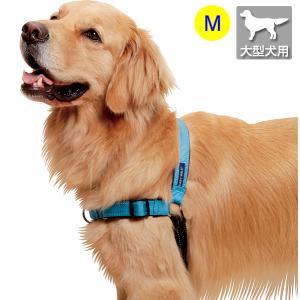 Planet Pet プラペ CP 鴨 & オレンジ ドッグフード ・穀物不使用