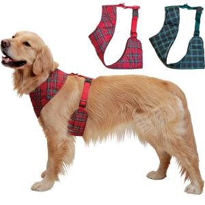 BURBERRY（バーバリー） ドッグリード 8073365 レザー バーバリー